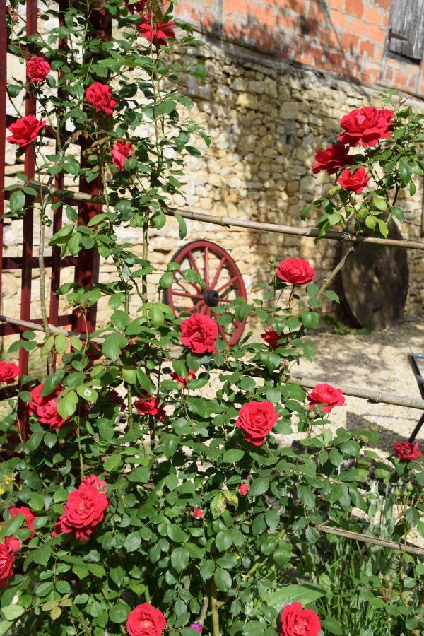 La Chabotine Bed & Breakfast Allas-Les-Mines Bagian luar foto