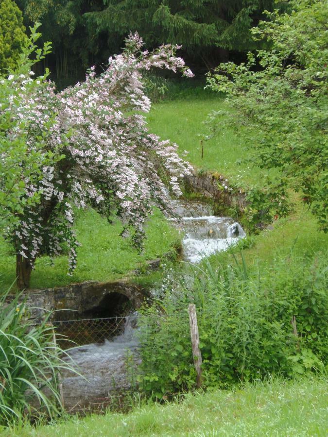 La Chabotine Bed & Breakfast Allas-Les-Mines Bagian luar foto